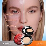 BB Cream Manufacturer - Air Cushion with Sunscreen Whitening & OEM