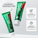 Toothpaste Manufacturer - Natural Herbal Niacinamide Whitening & OEM