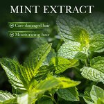 Hair Oil Manufacturer - 98% Natural Mint Rosemary Serum & OEM