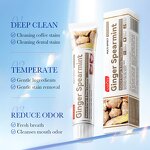 Toothpaste Manufacturer - Natural Ginger Herbal Sea Salt & OEM