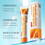 Toothpaste Manufacturer - Natural Ginger Herbal Sea Salt & OEM