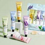 Hand Cream Set Manufacturer - Organic Fruits Lavender Jasmine & OEM