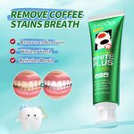 Toothpaste Manufacturer - Natural Herbal Remove Tea Stains & OEM