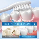 Toothpaste Manufacturer - Vegan Turmeric for Sensitive Teeth & OEM