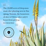 Concealer Manufacturer - Aloe Vera Waterproof & Private Label