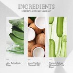 Sunscreen Lotion Manufacturer - Wholesale Spf 50 Oil-Free Sunblock for Black Skin Organic Cream