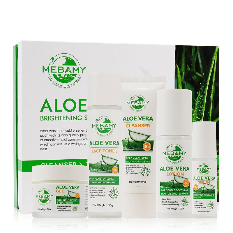 Skin Care Set Manufacturer - Private Label Aloe Vera Turmeric Whitening Christmas Gift Set