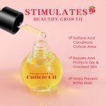 Nail Cuticle Oil Manufacturer - Private Label Organic Custom Logo Pomegranate Fig Nail Oil