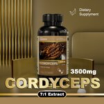 Patch Manufacturer - Yeekong OEM Detox Foot Toxin New Technology Healthcare