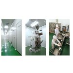 Patch Manufacturer - Royal Detoxification Foot Patch Wholesale OEM Healthcare