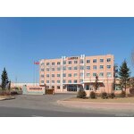 Tea Bag Manufacturer - Natural Green Tea Organic Immune Booster Factory Quality