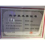 Patch Manufacturer - Yeekong Bamboo Vinegar Detox Foot Gold Slimming OEM