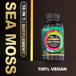 Oral Liquid Manufacturer - Vitamin D3 Adult Immune Care Supplement