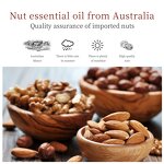Hair Care Essential Oil - VEZE Wholesale Private Label - Best Nut Oil Not Greasy Nourishing Hair Smooth