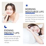 Lip Balm - Cheap Natural - Strawberry Moisturizing Repair Exfoliating Organic Plumper Vegan - Private Label