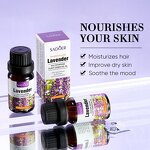 Essential Oil - SADOER Wholesale - Rosemary Rose Bergamot Chamomile Lavender Nourishing Hydrating Natural Massage