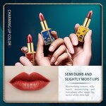 Lipstick - OEM Customized Private Label Logo - Chinese Style Long Lasting Moisturizing Waterproof Best Matte