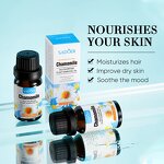 Essential Oil - SADOER Wholesale - Rosemary Rose Bergamot Chamomile Lavender Nourishing Hydrating Natural Massage