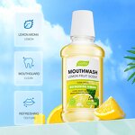Mouthwash - OEM SADOE Private Label - Mint Alcohol Free Best Clean Breath for Bad Breath