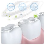 Toothpaste - IMAGES - Green Tea Fragrant Strawberry Gingival Protection Bright White Teeth Herbal Mint - Private Label