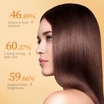 Hair Mask - OEM Wholesale - Hydrating Argan Oil Protein Keratin Moisture Repair Professional - Private Label