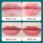 Lip Balm - SADOER Christmas - Honey Anti-Chapping Autumn Winter