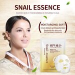Facial Mask - BIOAQUA OEM - Snail Essence Moisturizing Nourishing Lightening Sheet