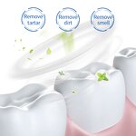 Toothpaste - Best Selling New Arrival Upgrade Formula - Alcohol Free Mint Cleaning Stains Anti-bacteria Whitening