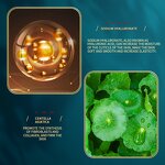 Face Mask - JOMTAM - Natural Skin Care Products Deep Moisturizing Repair Skin Smooth and Delicate