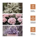 Hair Conditioner - Private Label - Nourishing Repair Make Smooth Glossy Best Organic Ginger