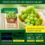 Face Mask - FAYANKOU Wholesale - Carrot Moisturising Hydrating Anti-aging Whitening Sheet