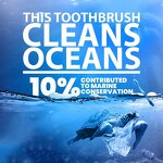 Toothbrush Manufacturer - New Arrival Natural Charcoal Adult Eco-friendly Bamboo Super Soft Gentle