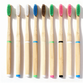 Toothbrush Manufacturer - Eco-Friendly High Quality Natural Disposable Replaceable Head Soft Bristle Travel Home