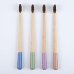 Toothbrush Manufacturer - WholesaleToothbrushes Soft Bristles Adults Colors Kraft Box Travel Home Natural Oral Care