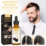 Hair Oil Manufacturer - Hair Care Essence Black Ganoderma Regrowth Veganic Natural Reishi Spore Oil