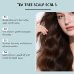 Shampoo Manufacturer - Custom Label Tea Tree Oil Hair Refreshing Scalp Scrub Fluff Hair Moisturizing