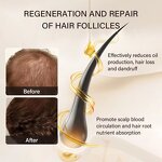 Hair Growth Oil Manufacturer - Hair Care Castor Oil Cleaning Grease Skin Moisturizer Repair Nourishing