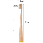 Toothbrush Manufacturer - Custom Bamboo Manual Medium Stiff Bristles Joint Handle Organic