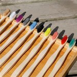 Toothbrush Set Manufacturer - Hot Selling Bamboo 8 Pieces BPA Free Soft Bristles Eco-Friendly Travel Set