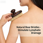 Body Brush Manufacturer - Wholesale High-quality Wooden Handle Walnut Dry Body Brush Clean Tool Sisal Bristle