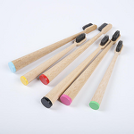Toothbrush Manufacturer - Wholesale Biodegradable Travel Soft Bristle Eco Friendly Disposable Wooden for Home Use