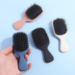 Scalp Massage Comb Manufacturer - Custom Mini Portable Air Cushion Boar Bristle Hair Brush