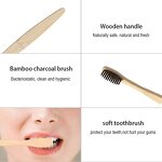 Toothbrush Set Manufacturer - Custom Logo Eco-friendly Oral Care Biodegradable Soft Bristle Toothbrush 10PCS Wood Mix Color Bamboo Handle