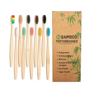 Toothbrush Set Manufacturer - Custom Logo Eco-friendly Oral Care Biodegradable Soft Bristle Toothbrush 10PCS Wood Mix Color Bamboo Handle