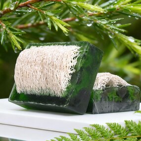 Bath Soap Manufacturer - Best Price Loofah Soap Tea Tree Hyaluronic Acid Whitening Remove Dark Spots Acne