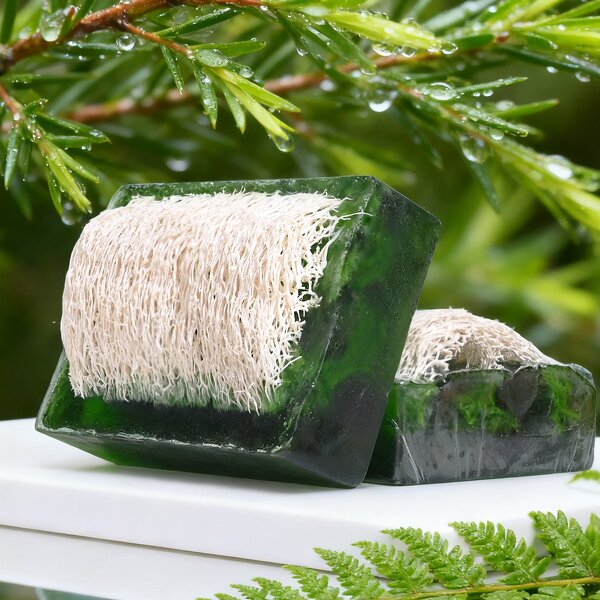 Bath Soap Manufacturer - Best Price Loofah Soap Tea Tree Hyaluronic Acid Whitening Remove Dark Spots Acne