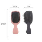 Scalp Massage Comb Manufacturer - Custom Mini Portable Air Cushion Boar Bristle Hair Brush