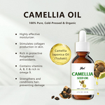 Camellia Seed Oil Manufacturer - Natural to Revitalize Hair Skin and Nails