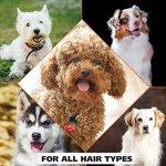 Dog Allergy Relief Shampoo Manufacturer - All Natural Anti-Itch for Dogs and Cats