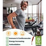 Holy Basil Leaf Extract Manufacturer - Private Label Natural Liquid Tincture Vegan Herb